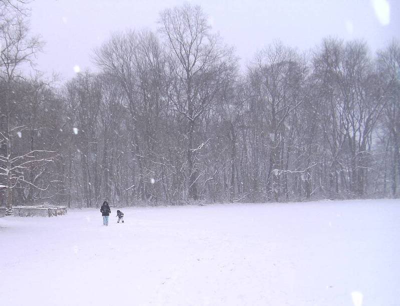 snow3.jpg