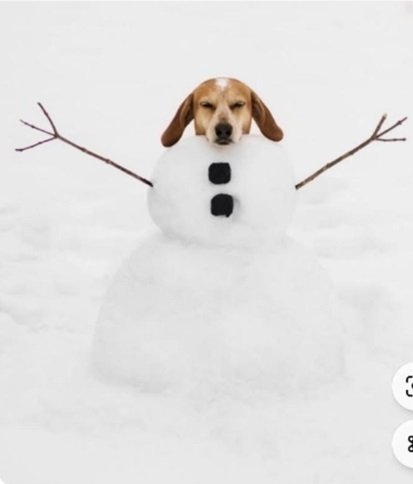 snowdog.jpg