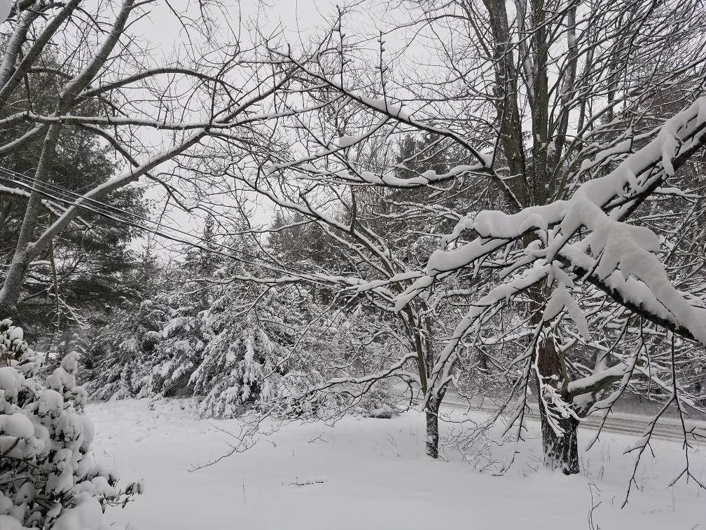 Snowed 012.jpg