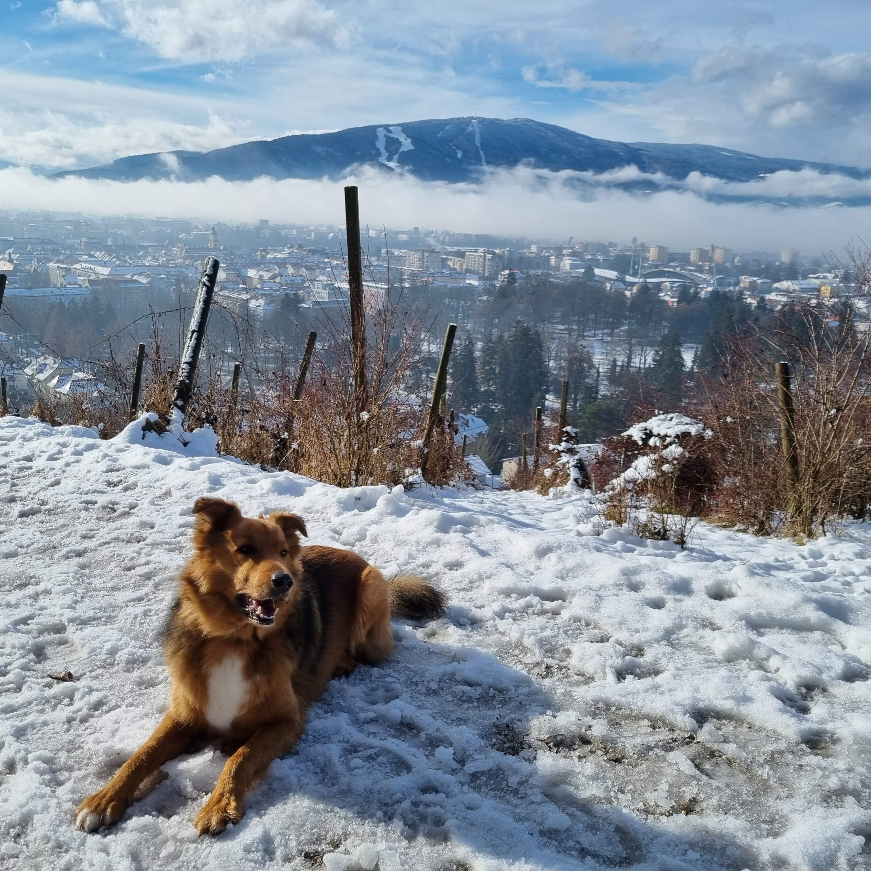 snowonpiramida2.jpg