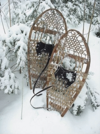 snowshoes.gif