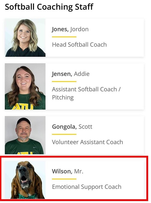 softball dog.jpg