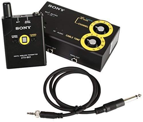 Sony DWZ B30 kit.jpg