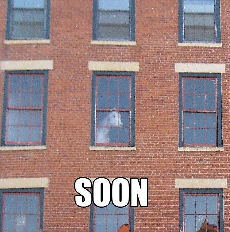 Soon.jpg