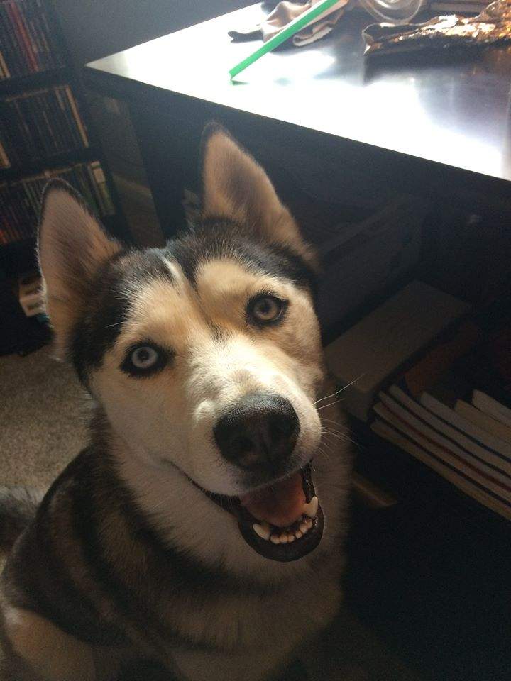 Sophie3.jpg