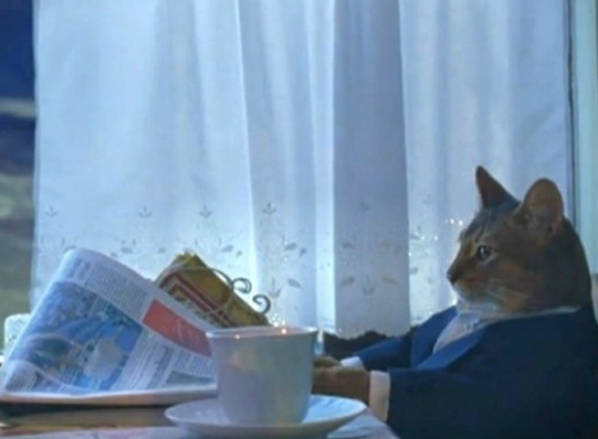 sophiscated_cat.png
