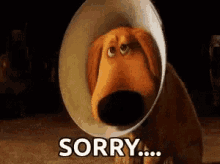 sorry-shame.gif