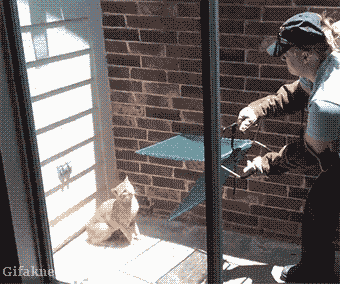 sourc2158fge.gif