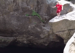 source-gif.gif