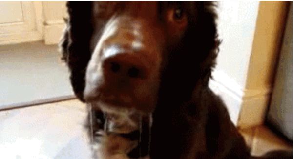 source.gif