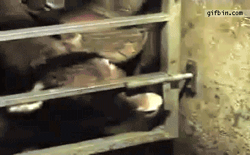 source.gif