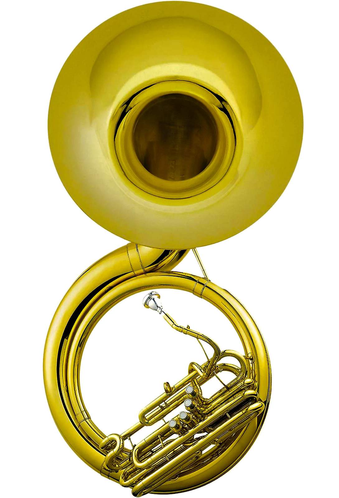 sousaphone.jpeg