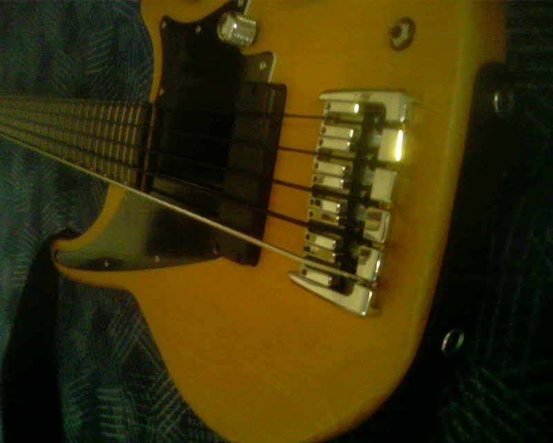 SP_A0458.jpg