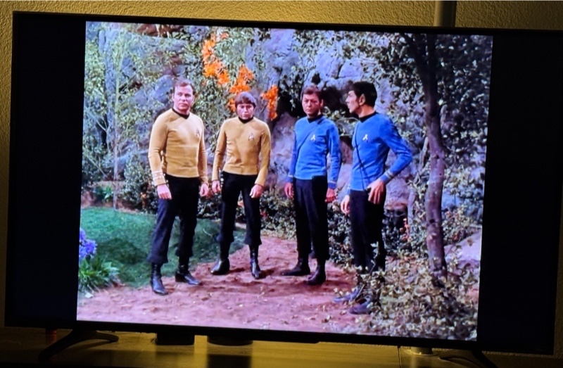 space hippies.jpg