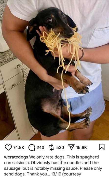spaghetti dog.jpg