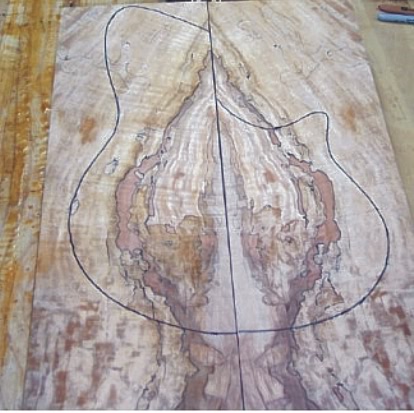 SpaltedTop1.jpg