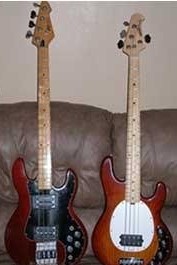 Spazz-Basses.jpg