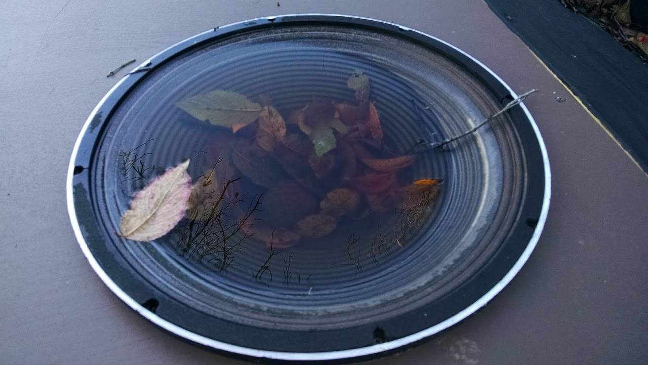 speaker soup.jpg