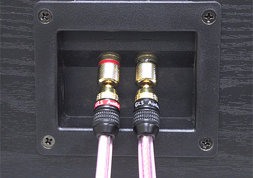 Speaker_banana_plugs.jpg