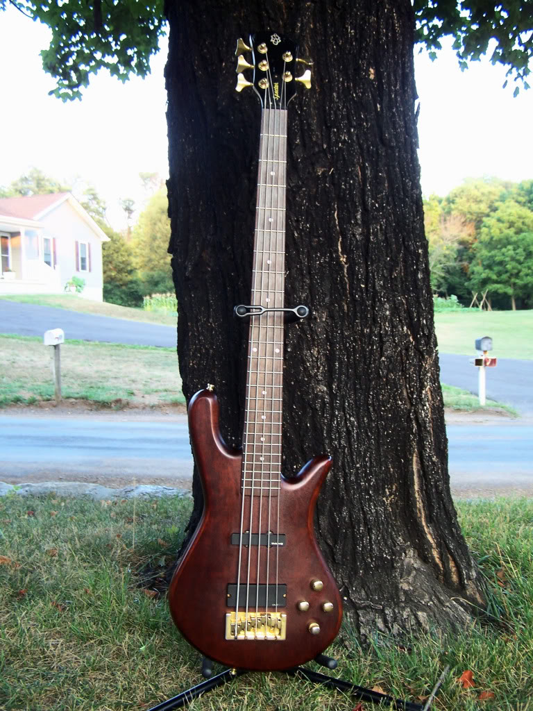 spector-1.jpg