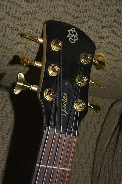 spector 3.jpg