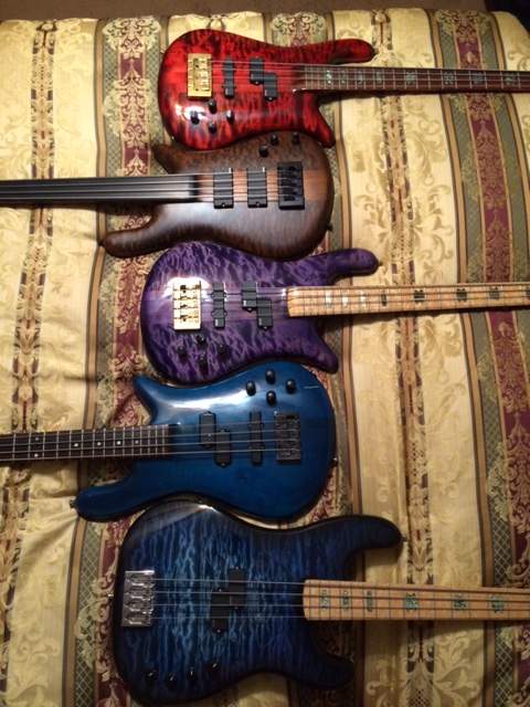 spector basses2.JPG