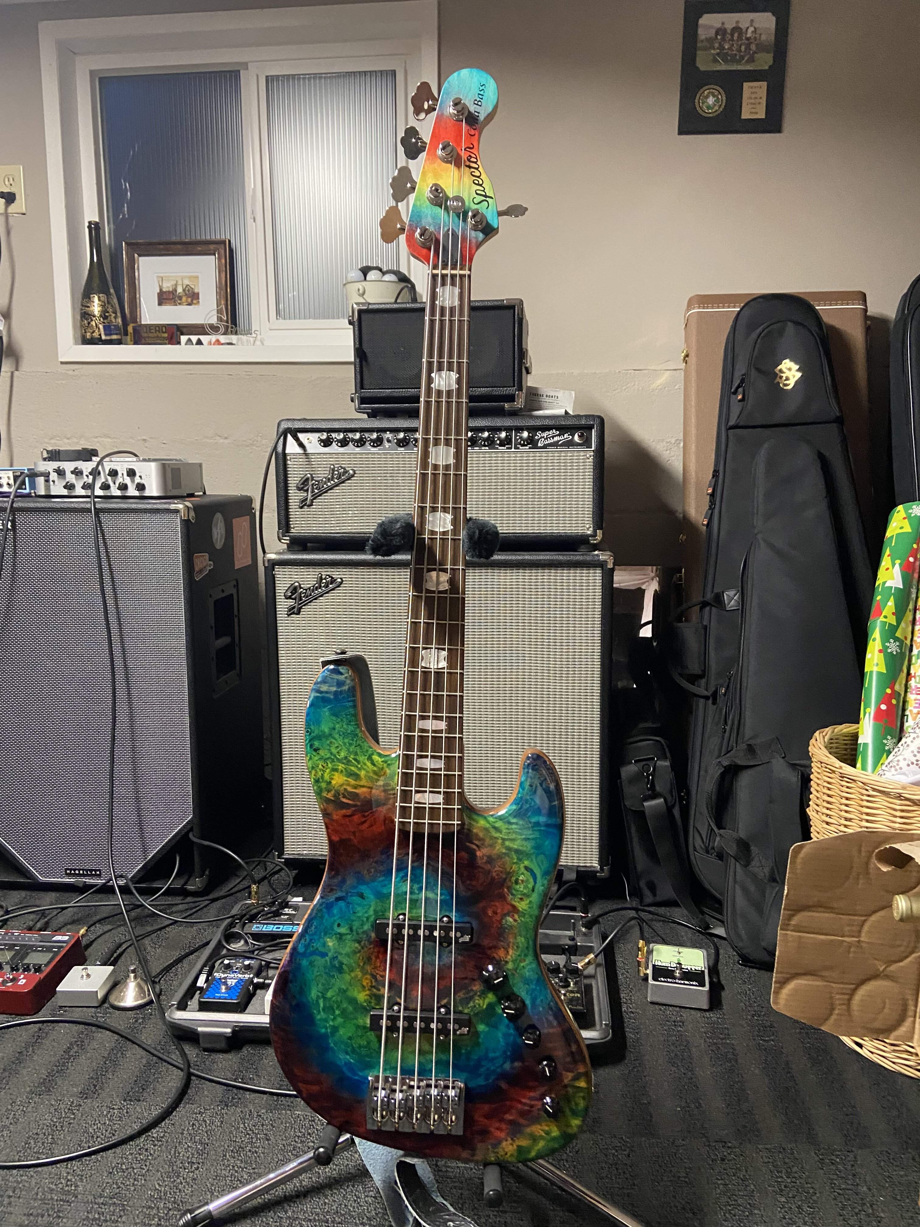 Spector Coda 5.jpg