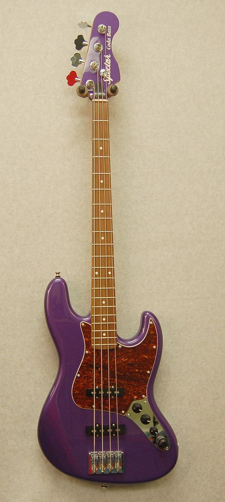 spector-coda4-plum_03.jpg