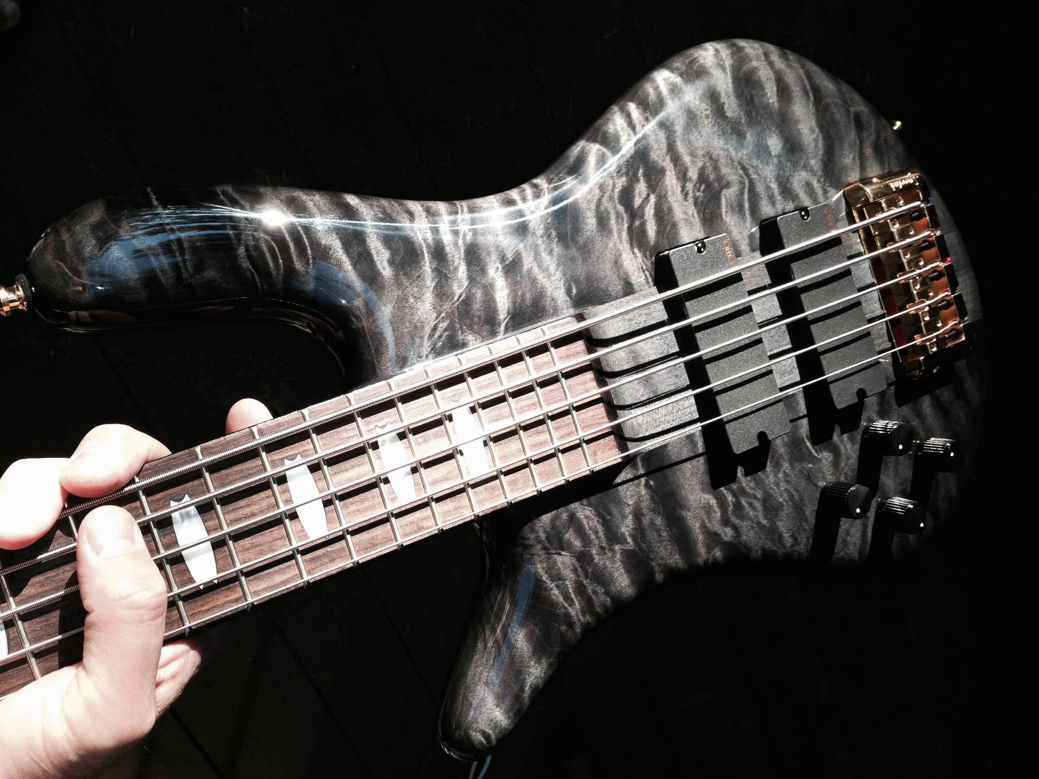 Spector EURO5LX-EX.jpeg