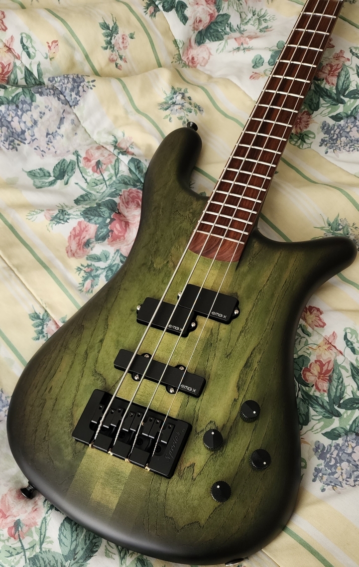 Spector Haunted Moss NS2-2.jpg