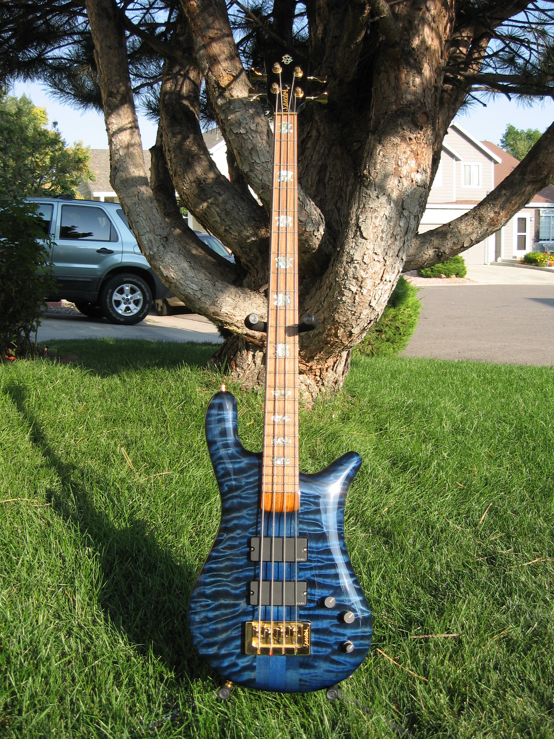Spector in sunlight 004.JPG