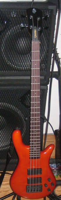 spector.jpg