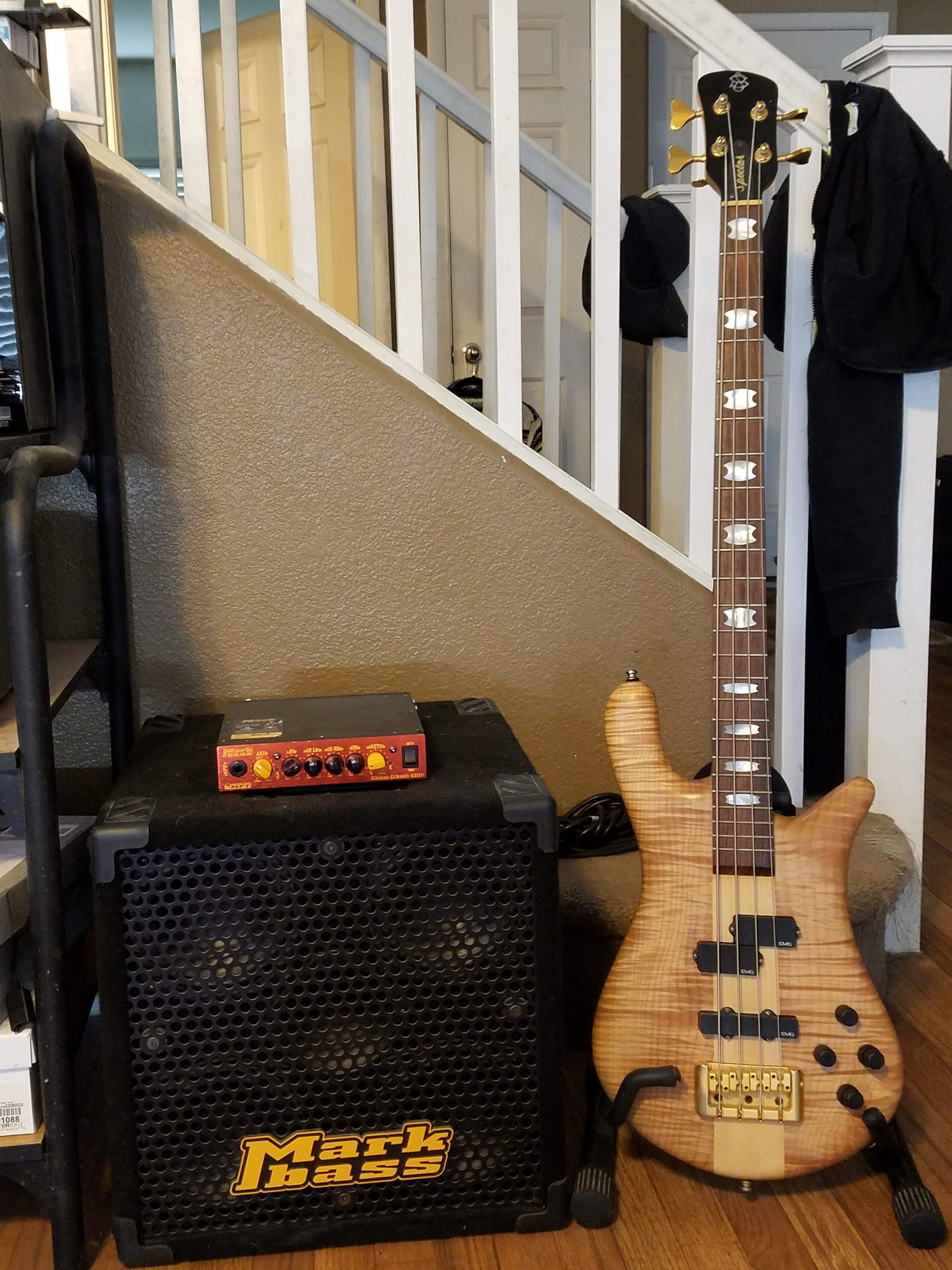 Spector & Mini Markbass.jpg