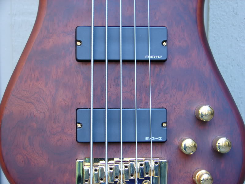 Spector-Top.jpg