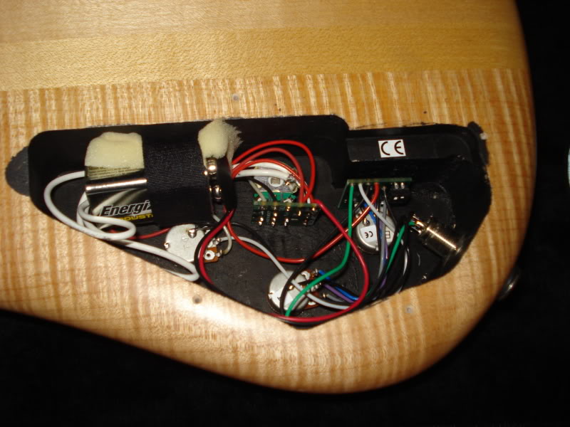 spector001.jpg