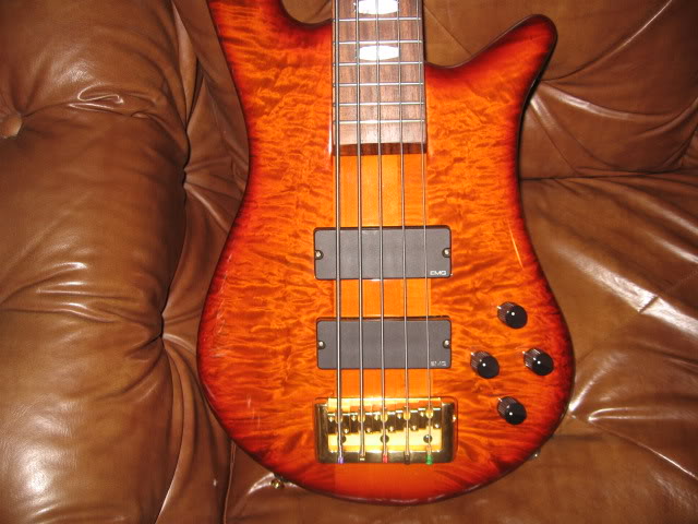 Spector001.jpg