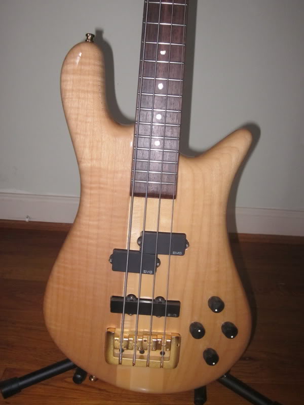 spector005.jpg