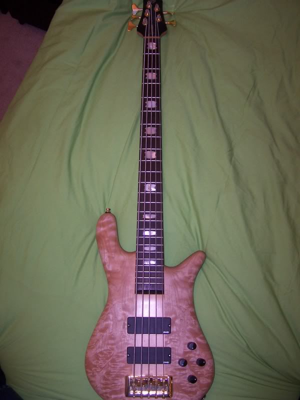 Spector013.jpg