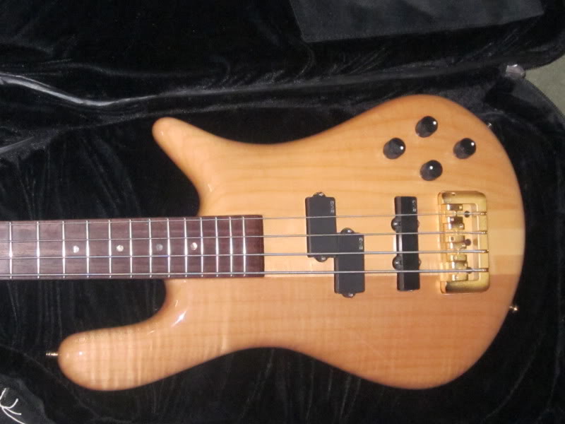 spector020.jpg