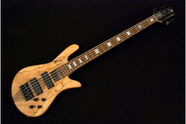 Spector1.jpg