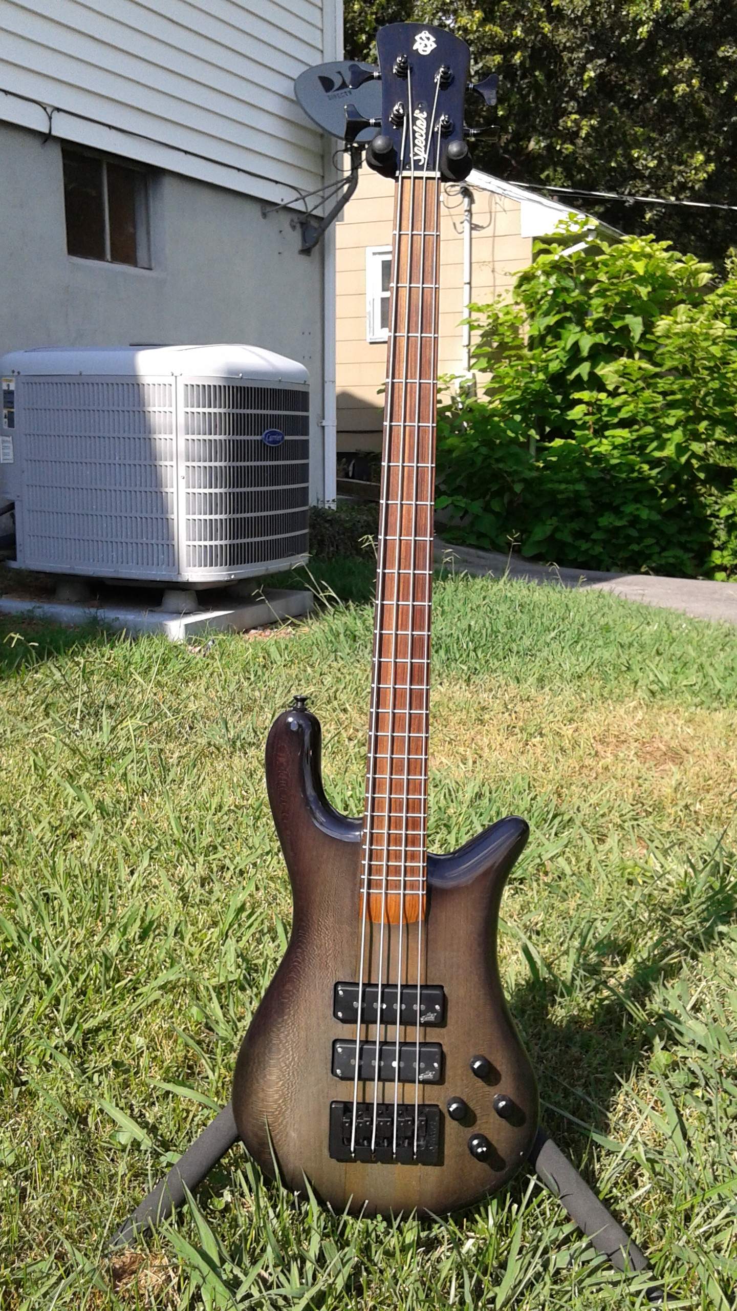 Spector10.jpg