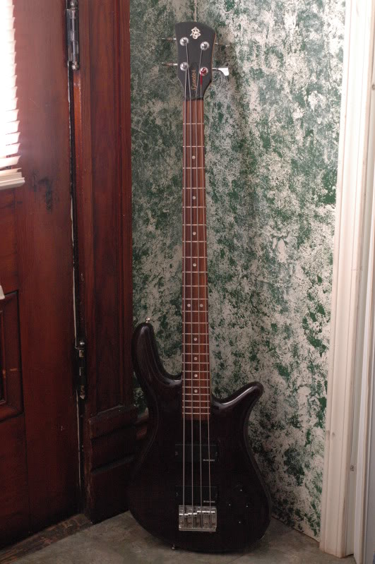 spector113.jpg