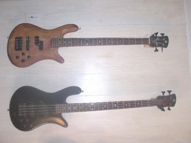 spector2.jpg