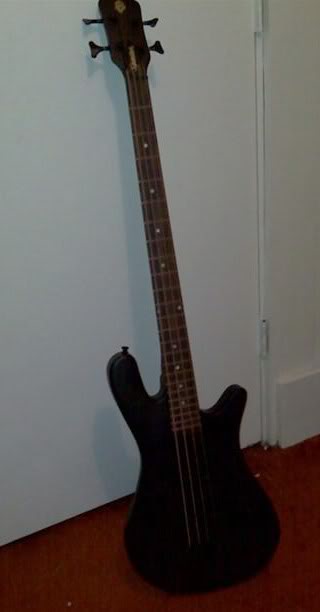 spector2.jpg
