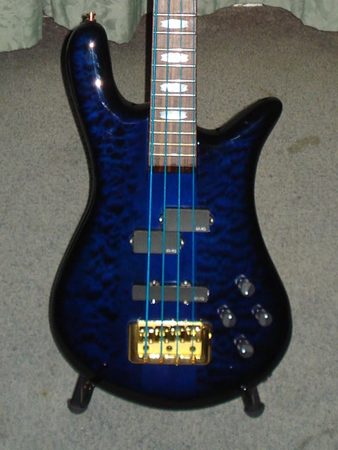spector2.jpg