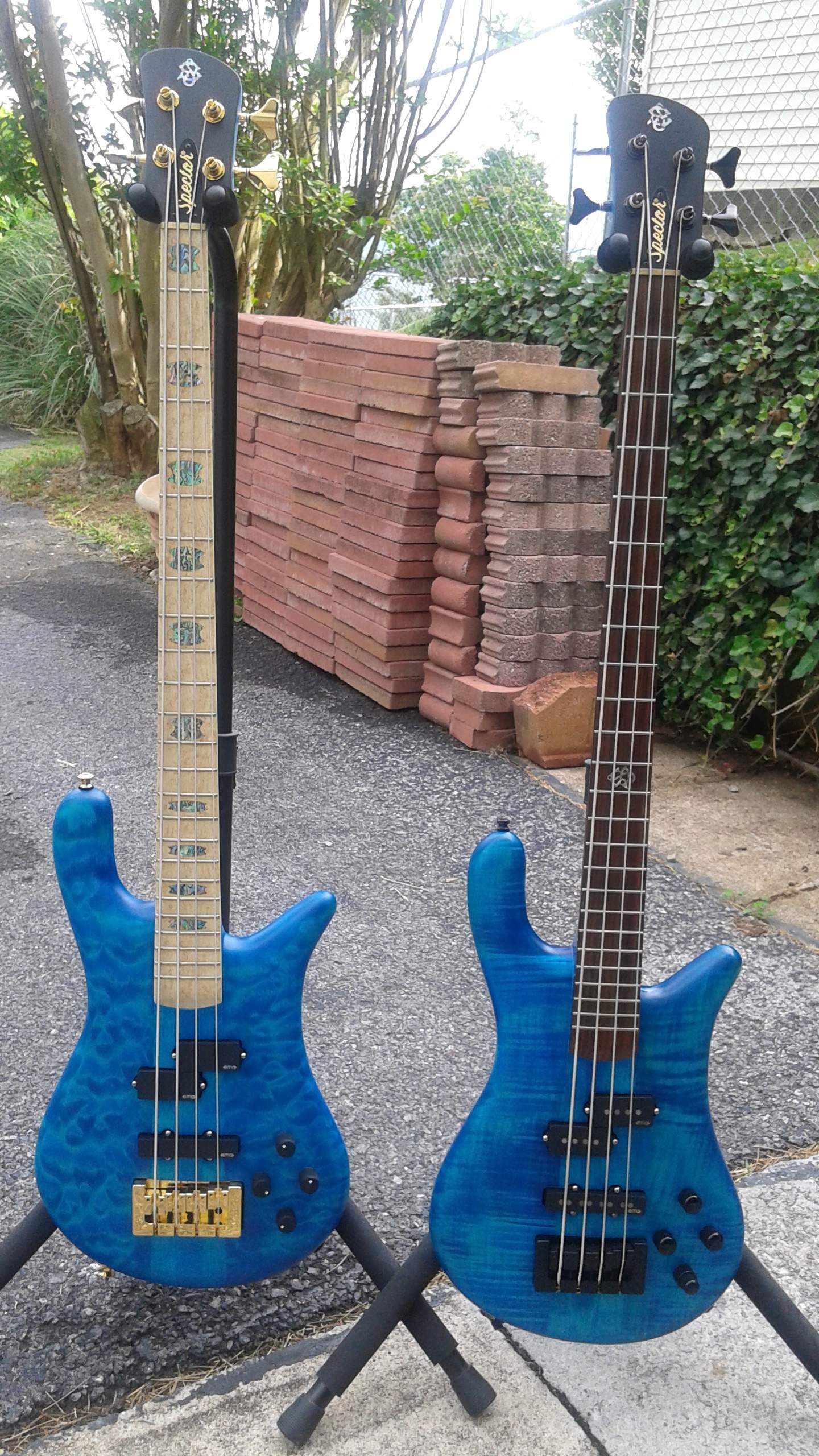 Spector2.jpg