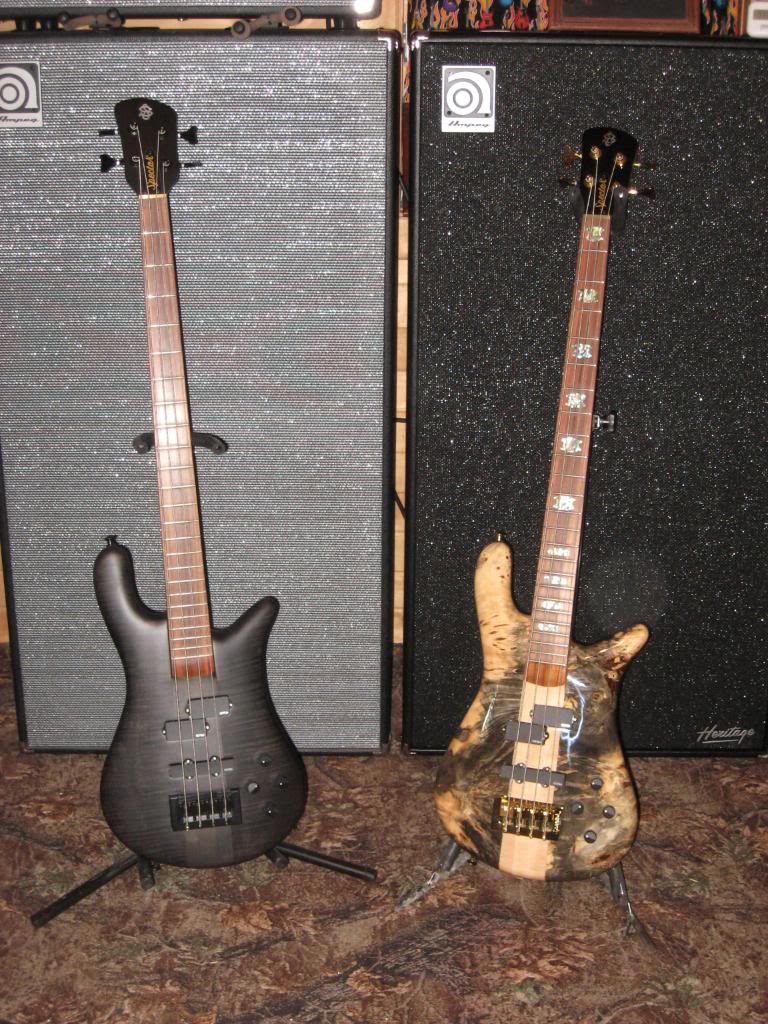 Spector2012001-1.jpg