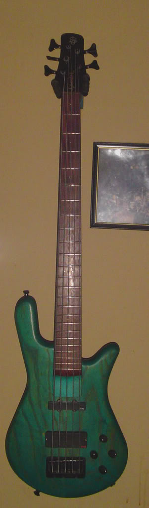 spector3.jpg