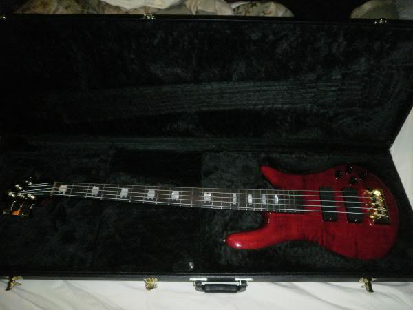 spector5.jpg