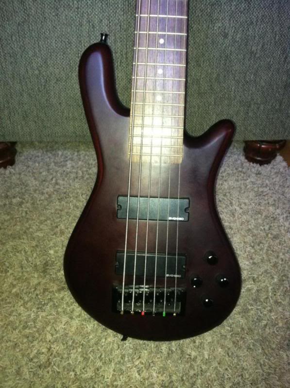 spector6.jpg
